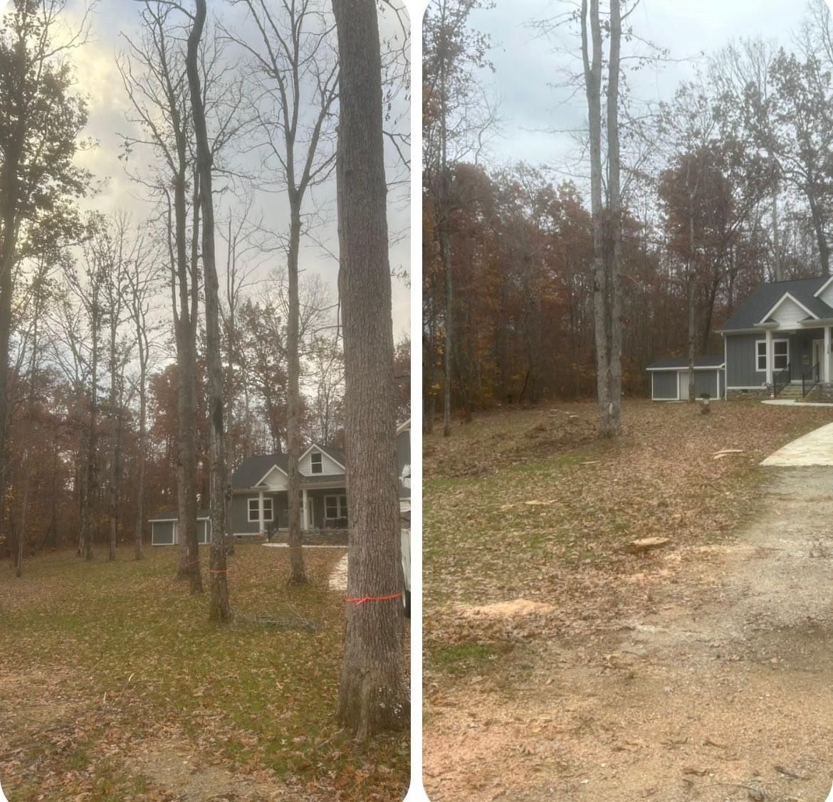 Stump Removal for McBee’s Tree Service in Sewanee, TN