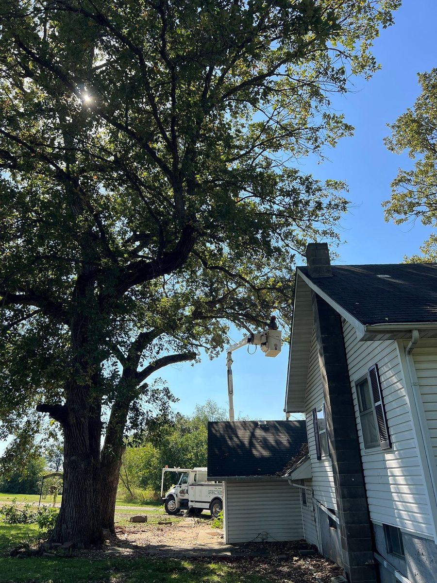 All Skidloader Services for Baker Professional Services LLC in Shelbina, MO