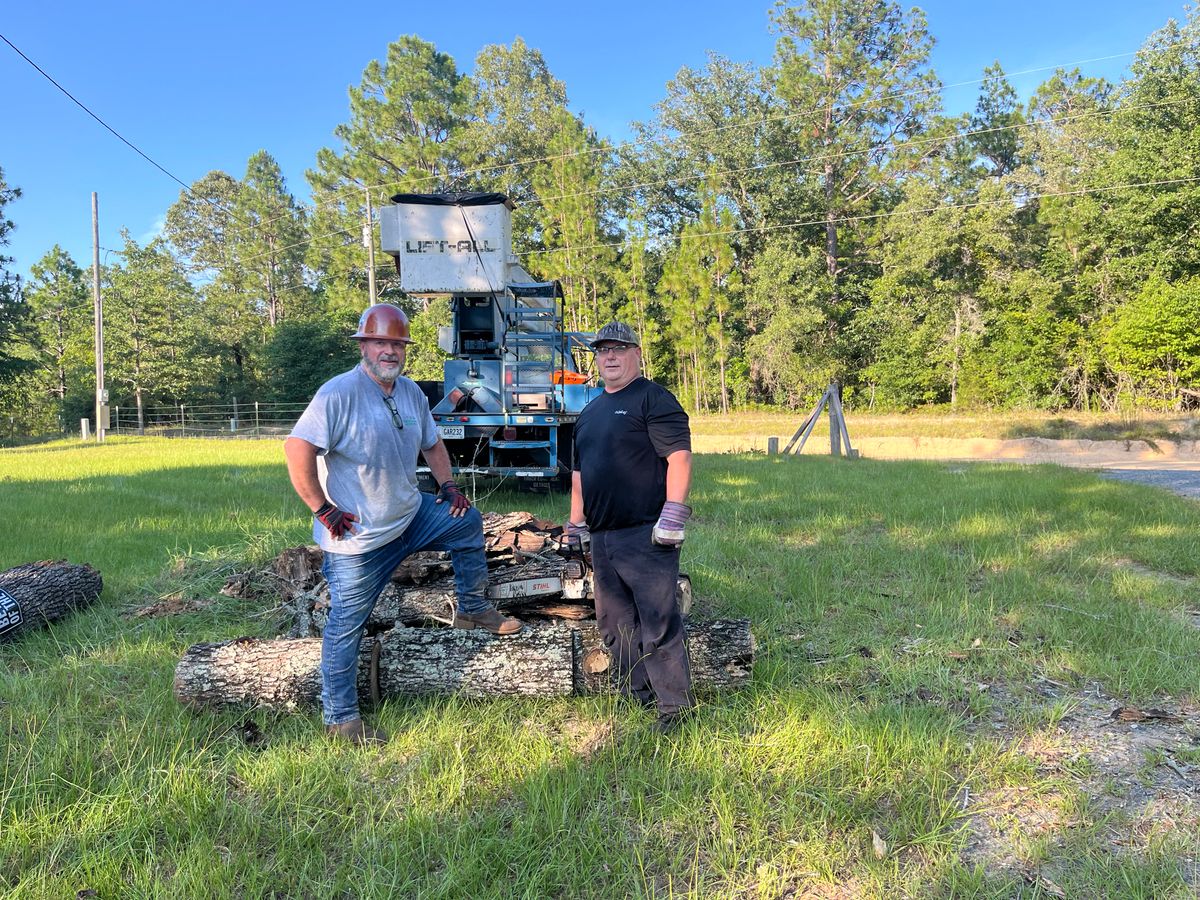 Tree Trimming for T N L - Tree and Land Service in Reynolds, GA