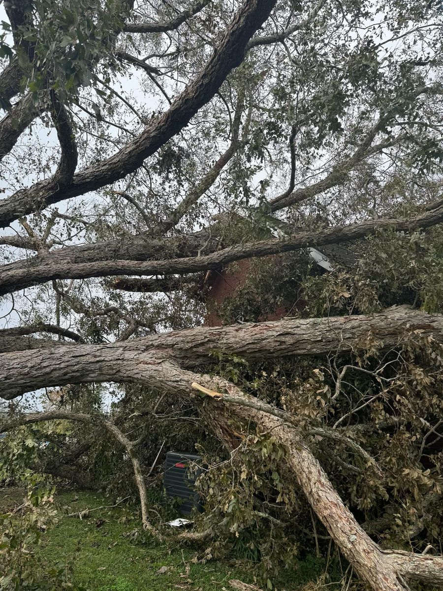 Storm Damage Repair for Stephen's Construction in Wilcox County, GA