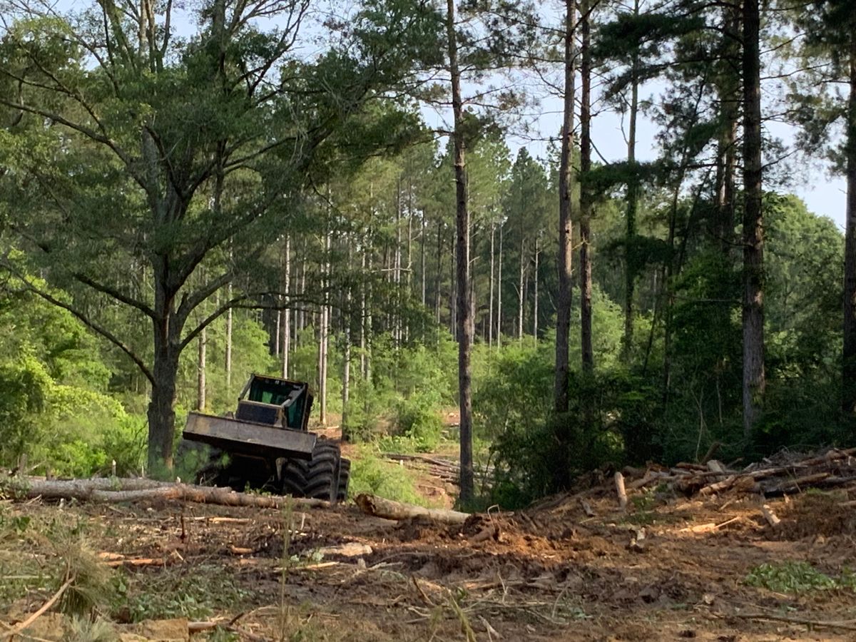 Tree Services for Broadway & McMullen Construction in Hattiesburg, MS