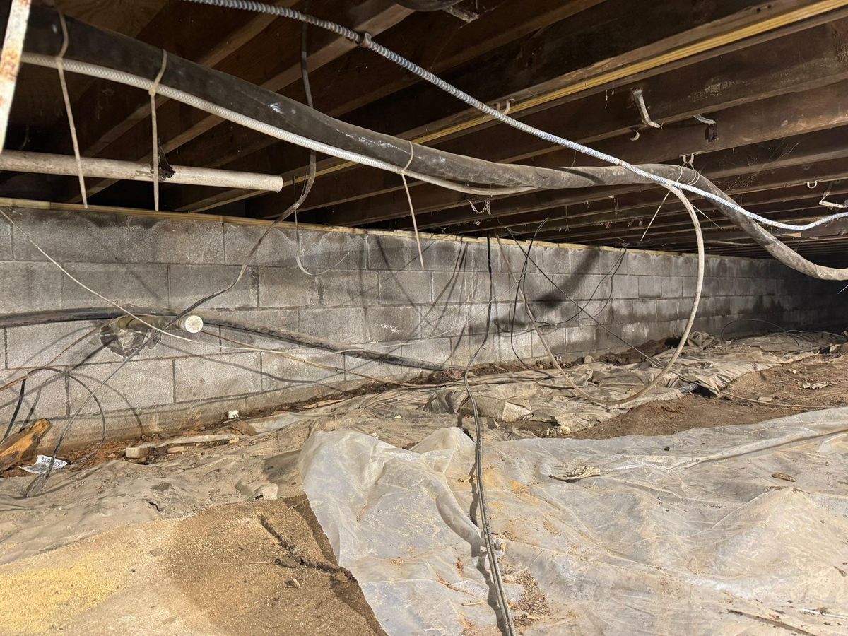 Foundation Repairs for The Guys Landscaping & Foundation Repairs LLC in Trenton, MI