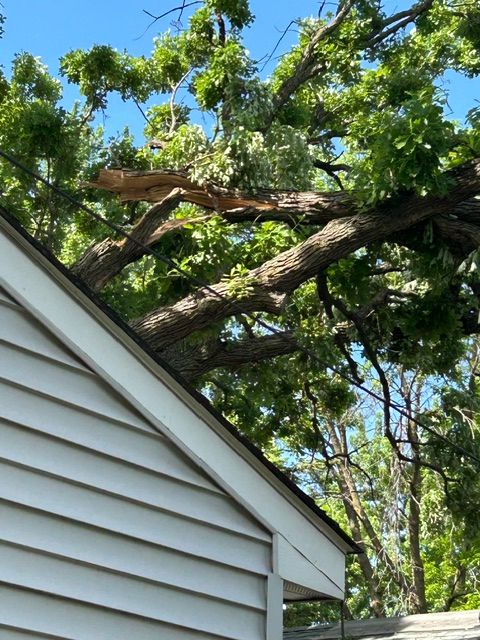 Tree Trimming for Allstate Tree Service and Crane in Spring Lake Park, MN