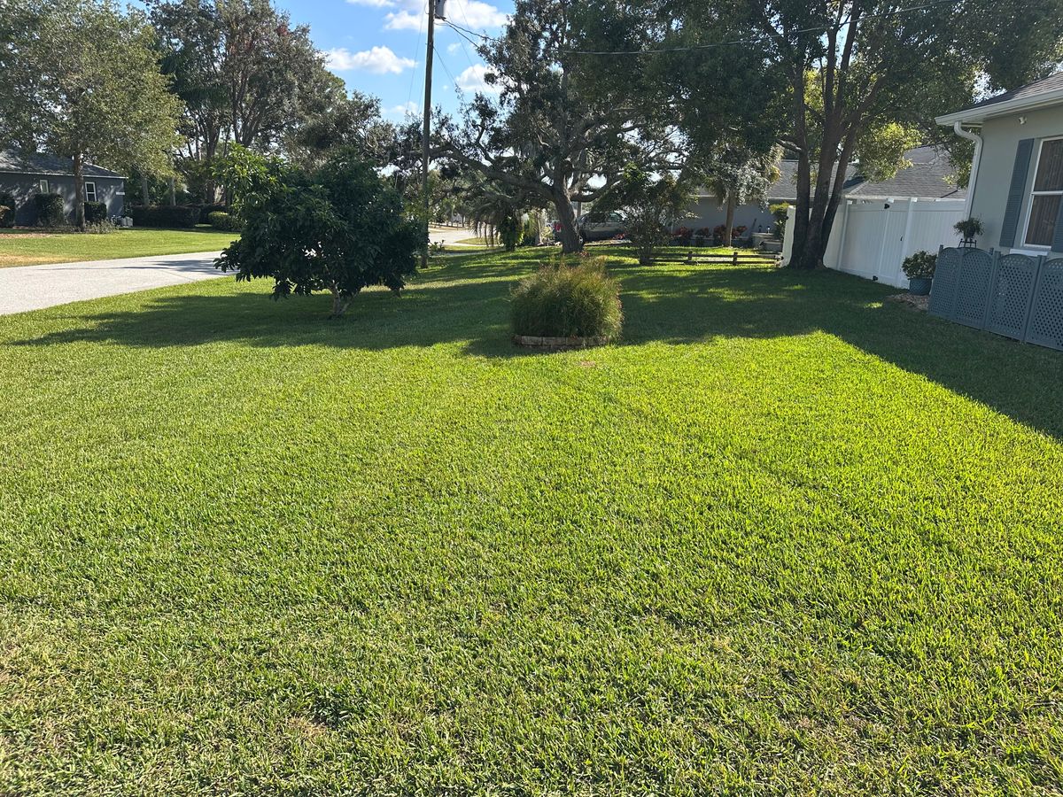 Lawn Spraying for Garrison Pest Control Inc in North Weeki Wachee, FL