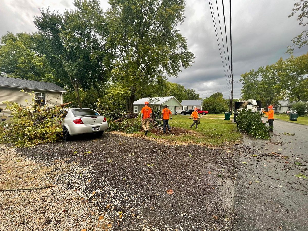 Tree Trimming for Ross Family Tree Service LLC  in Hohenwald, TN