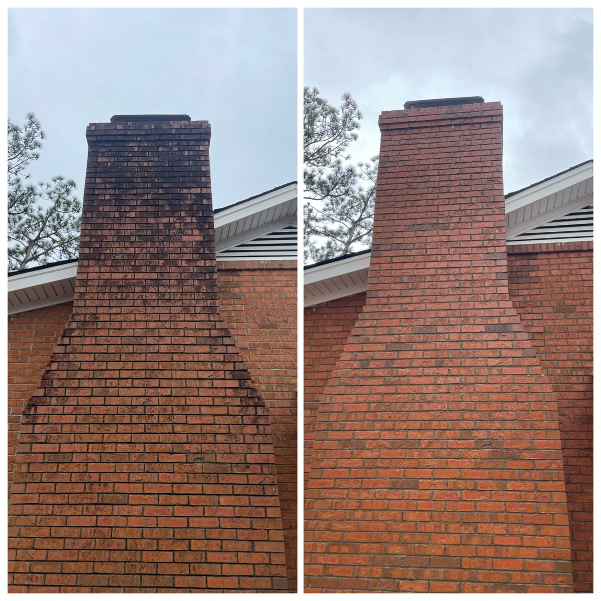 House Softwash for Port City Power Washing in Wilmington, NC