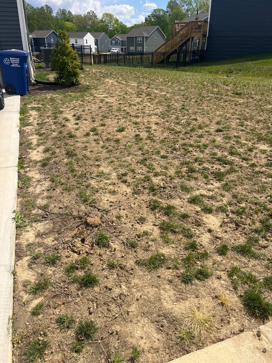 Lawn Makeover for Atlas Home Services in Mechanicsville, VA