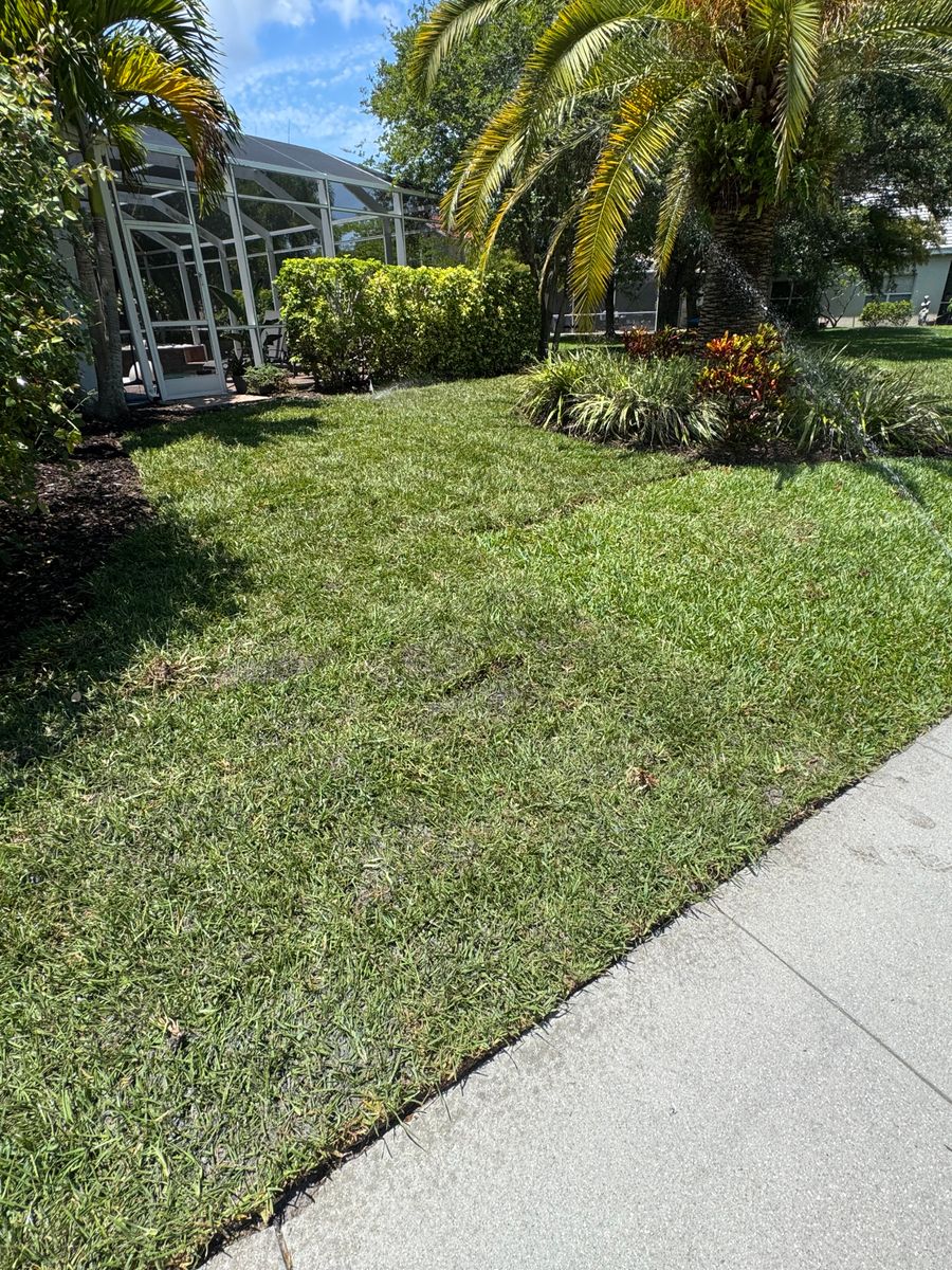 Sod installation for BH Lawn and Landscape in Fort Myers, FL