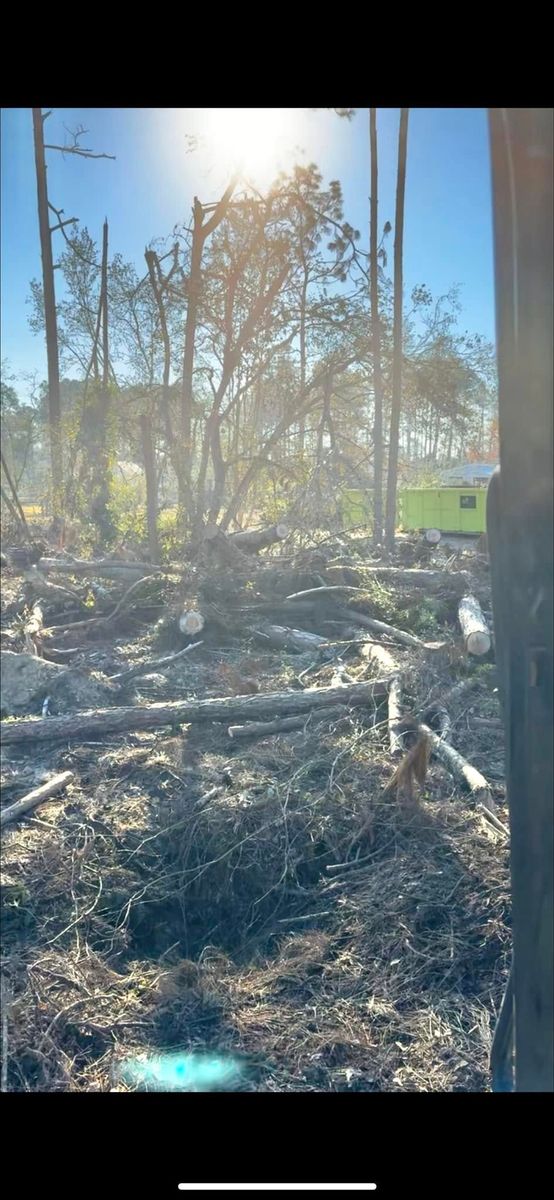 Tree Removal for Thompson Forestry Mulching & Stump Grinding in Douglas, GA