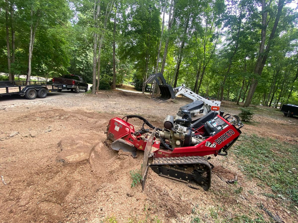 Stump Removal for Pedro's Tree Removal in Charlotte, NC