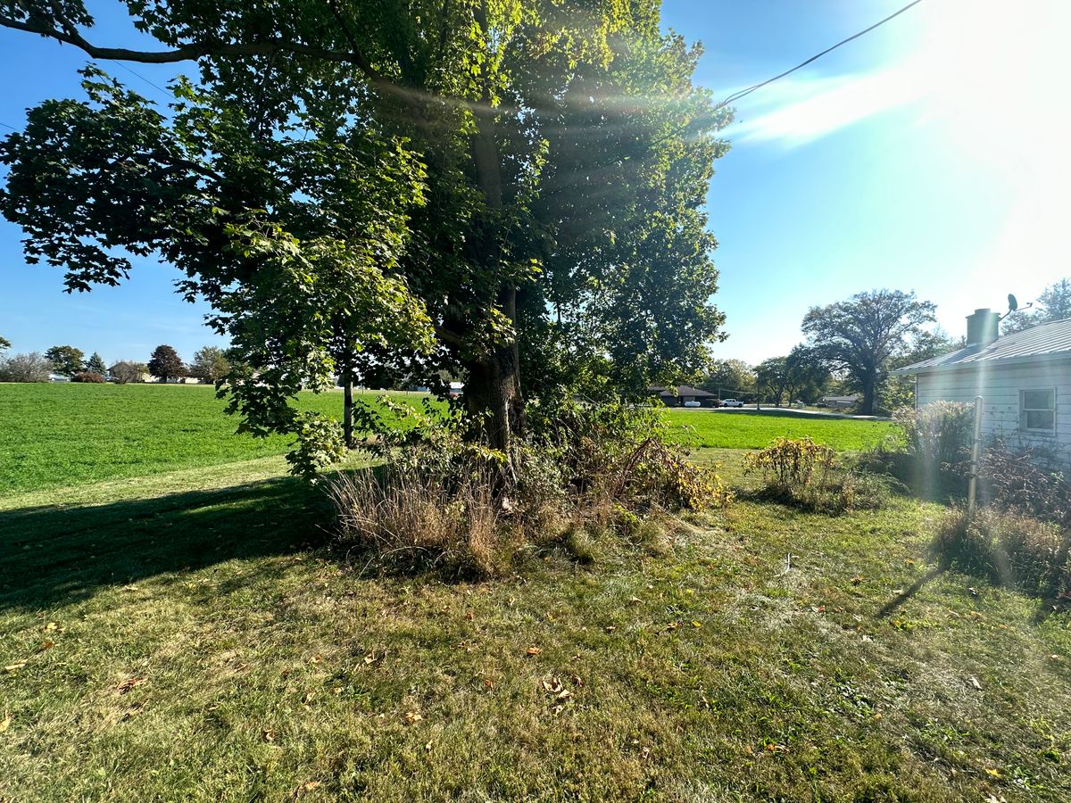 Fall and Spring Clean Up for FIRST CLASS GRASS LLC in Syracuse, IN