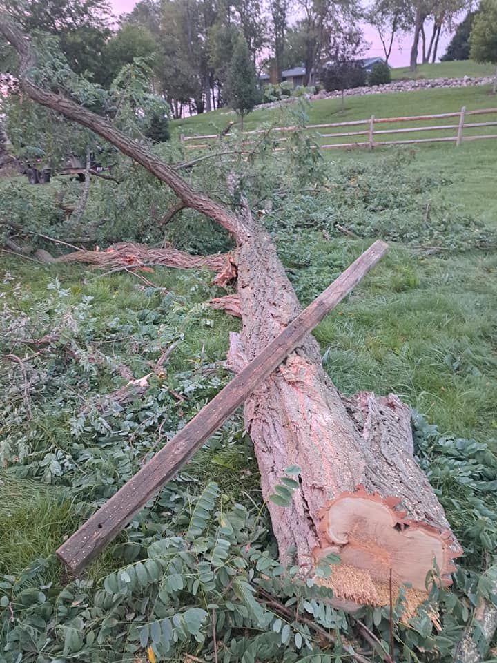 Timber Management for God's Country Timber Management in Hillsdale, MI