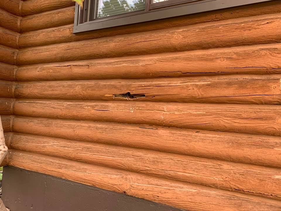 Log Home Chinking for True Blue Logworks LLC in Corvallis, MT