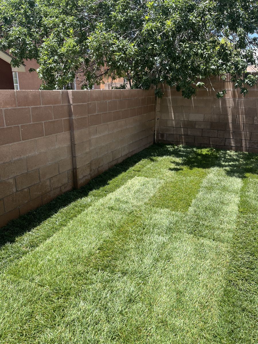 Residential Lawn Maintenance for 2 Brothers Landscaping in Albuquerque, NM