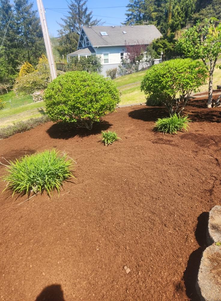 Mulch Installation for Bob's Yard Care & Landscaping in Raymond, WA