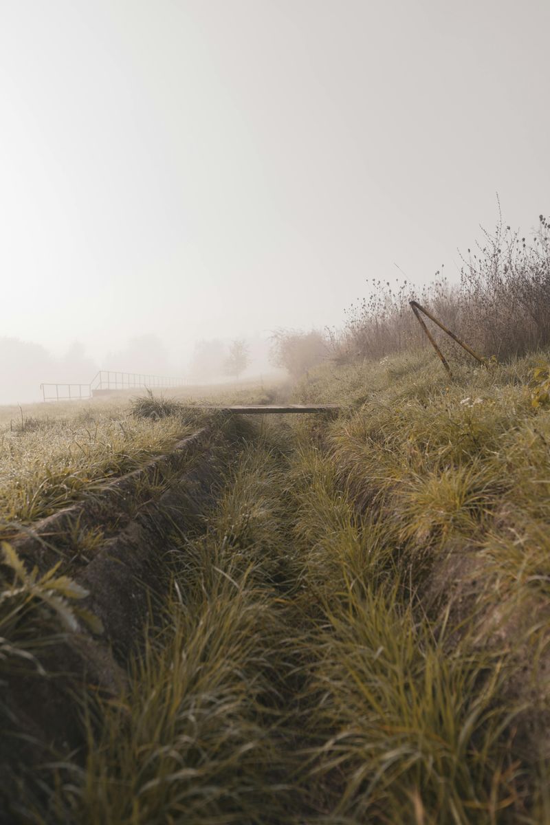 Ditch Work for Maverick's Land Services  in Elwood, IN