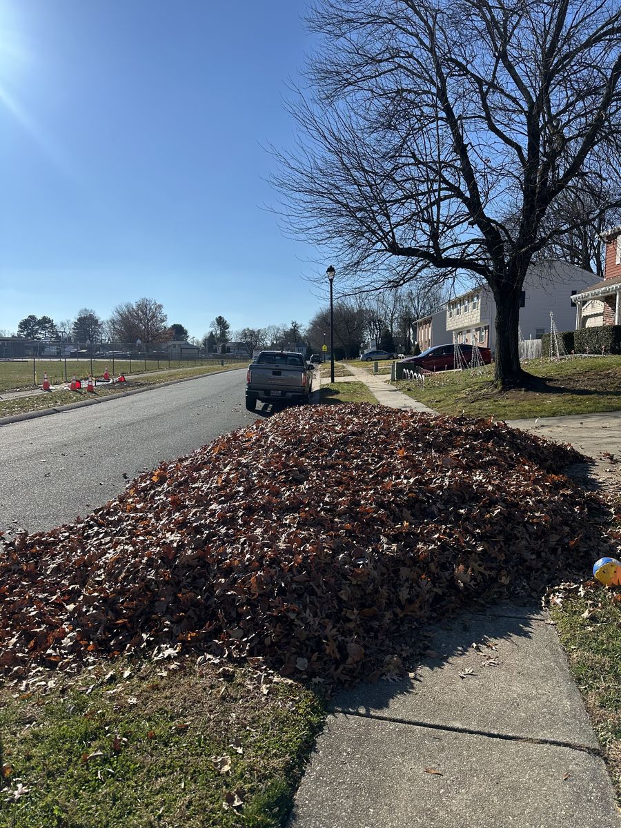 Fall Clean Up for A Better Lawn Service LLC in Bel Air, MD