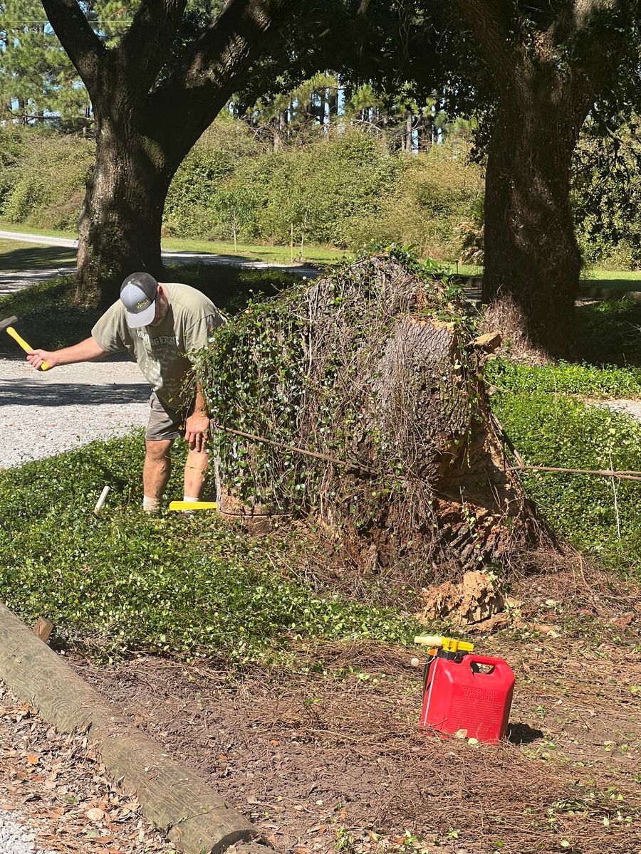 Stump Grinding for Southern Venom Services in Daphne, AL