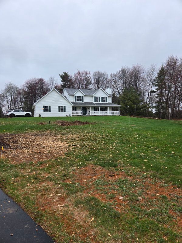 Stump Grinding and Removal for Wilcox Landworks in Pulaski, WI