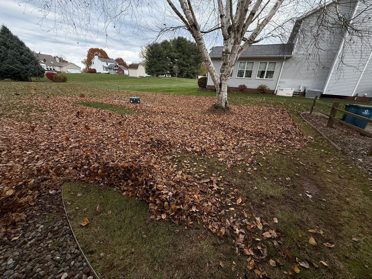 Fall Clean Up for Tactical Stripes Lawn care in Uniontown, OH