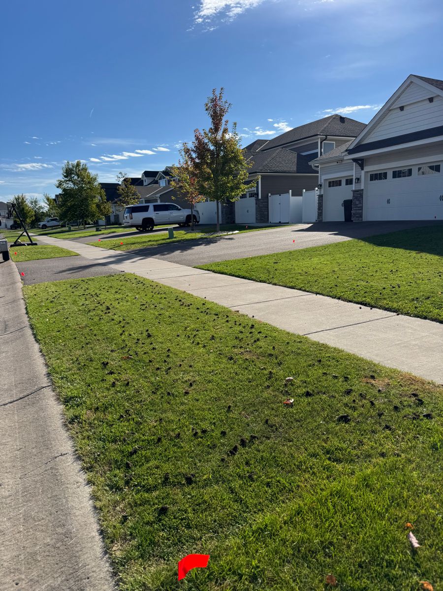 Lawn Aeration for Bubba’s Seasonal Services in Buffalo, MN