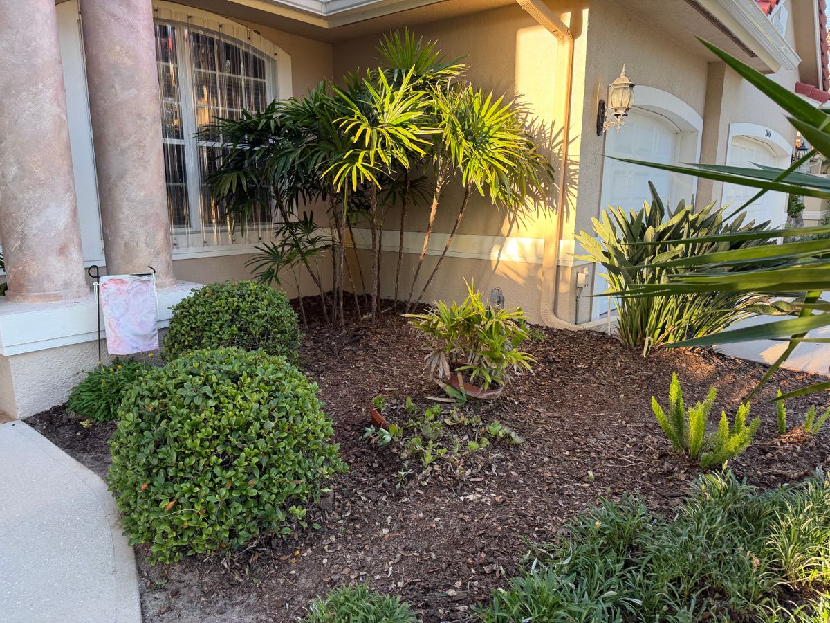 Landscape Installation for Epic Vine Design in Melbourne, FL