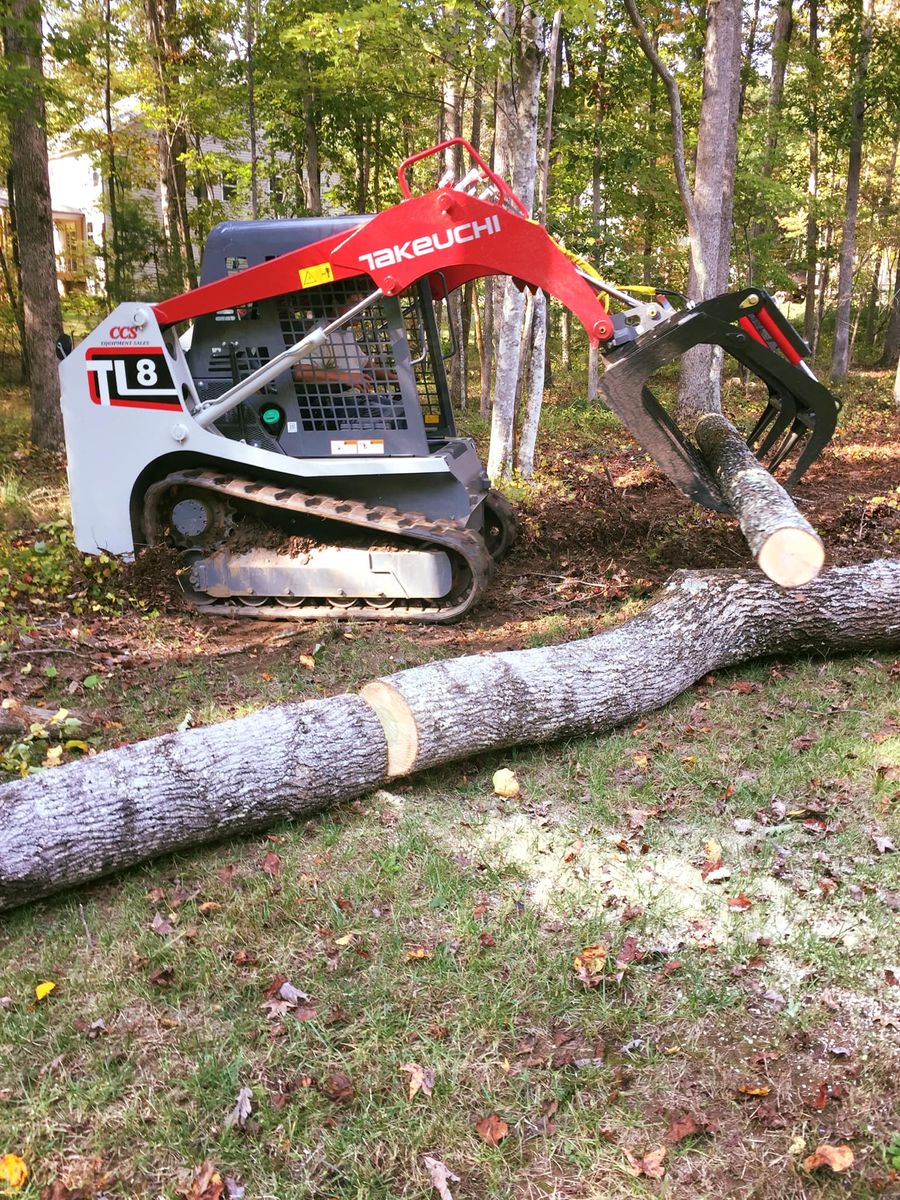 Tree Removal  for Lively Landscaping LLC - NC in Franklinton, North Carolina