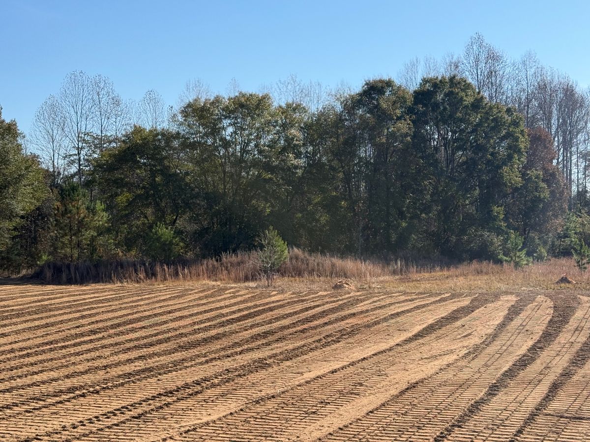 Land Clearing & Demolition for Central Alabama Site Works in Selma, AL