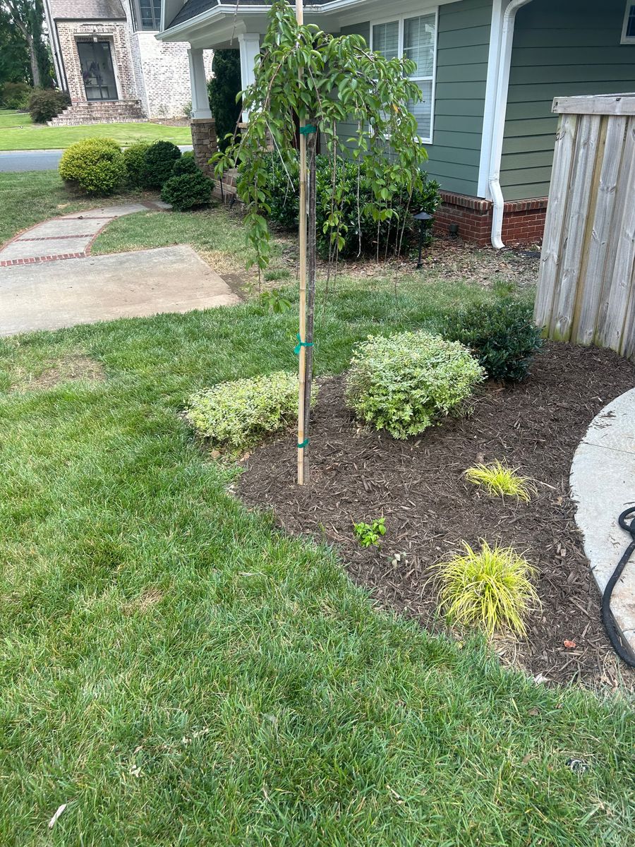 Landscaping for Oakhurst Landscaping and Tree Service in Charlotte, NC