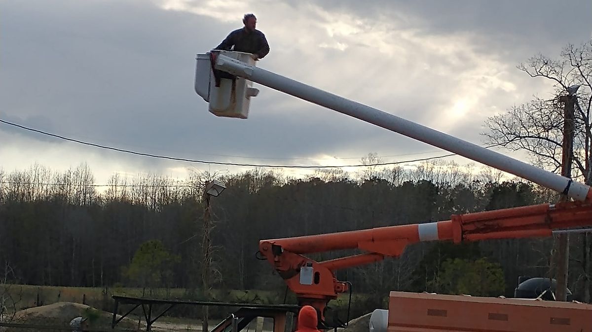 Tree Removal for Country Cutters Tree Service in Prince George, VA