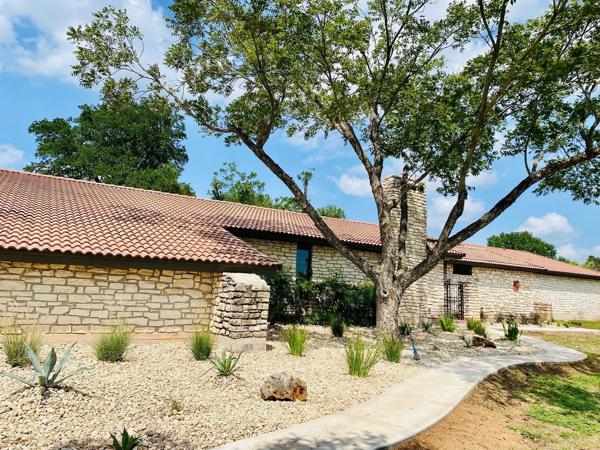Tree and Shrub Care for Robert’s Lawn & Tree Service in Austin, TX
