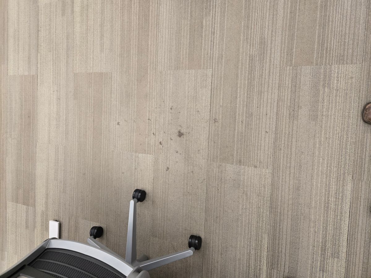 Carpet Cleaning for Forge Precision Facility Services in Glendale, CO