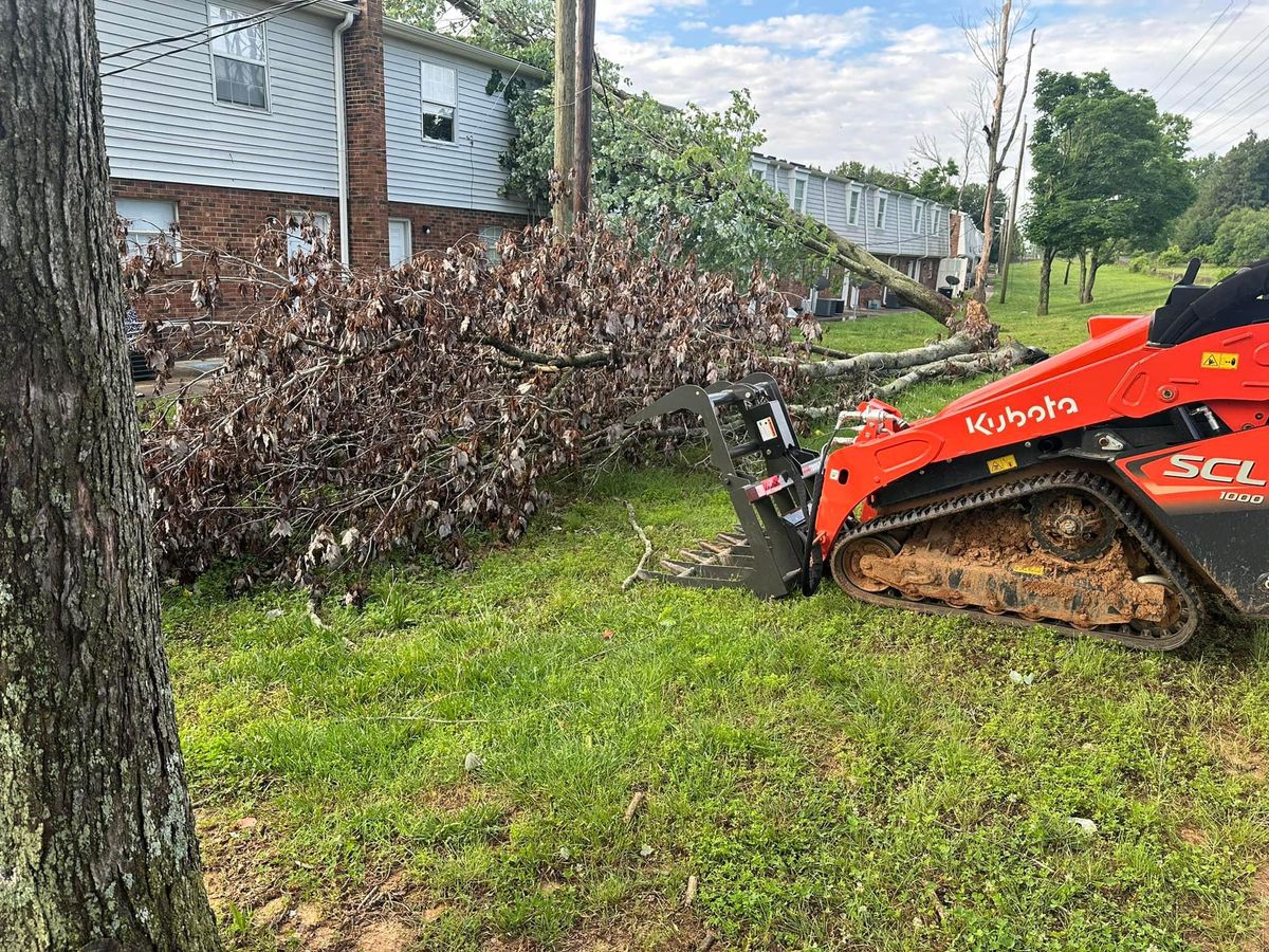 Tree Service for Cisco Kid Landscaping Inc. in Lincolnton, NC