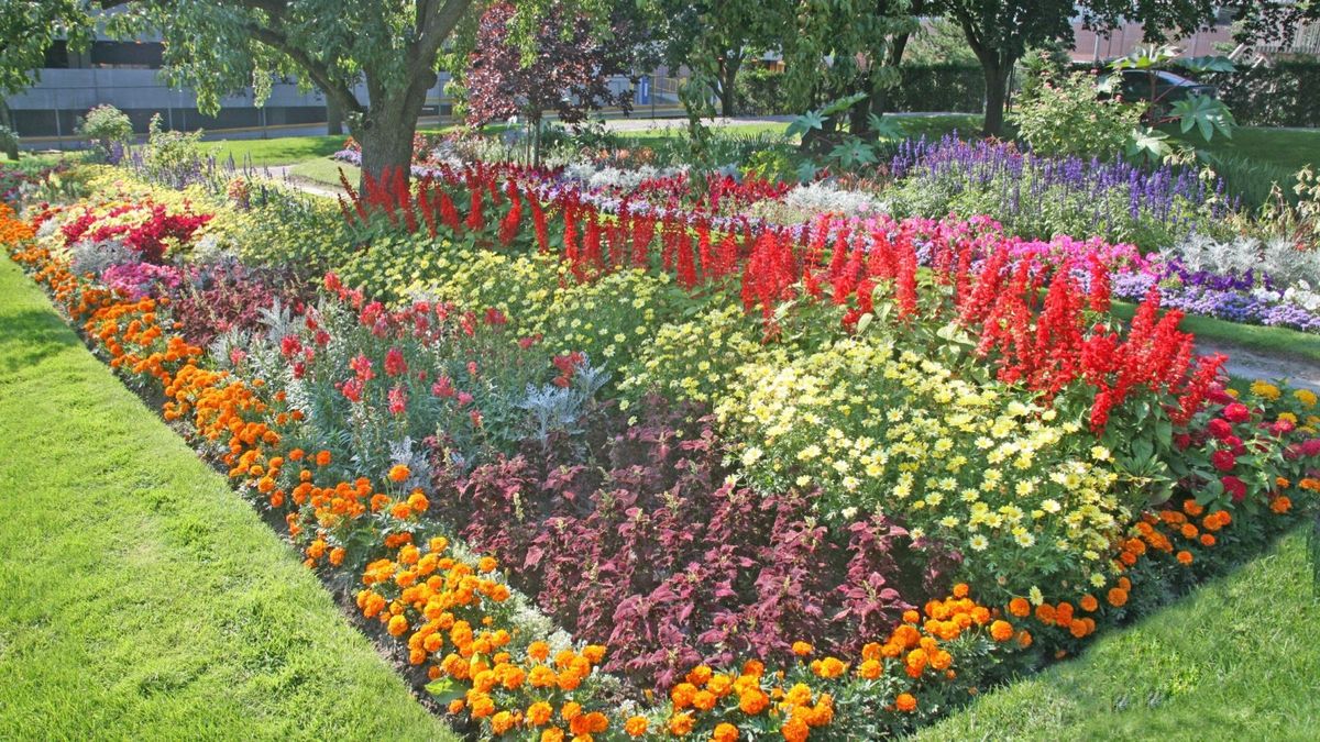 Flower Beds for R&J Hydromulch in Booker, TX