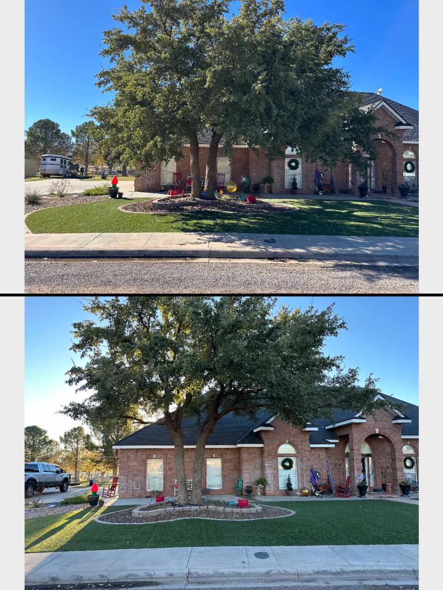 Tree Trimming for Compas Cleanup in McCamey, TX