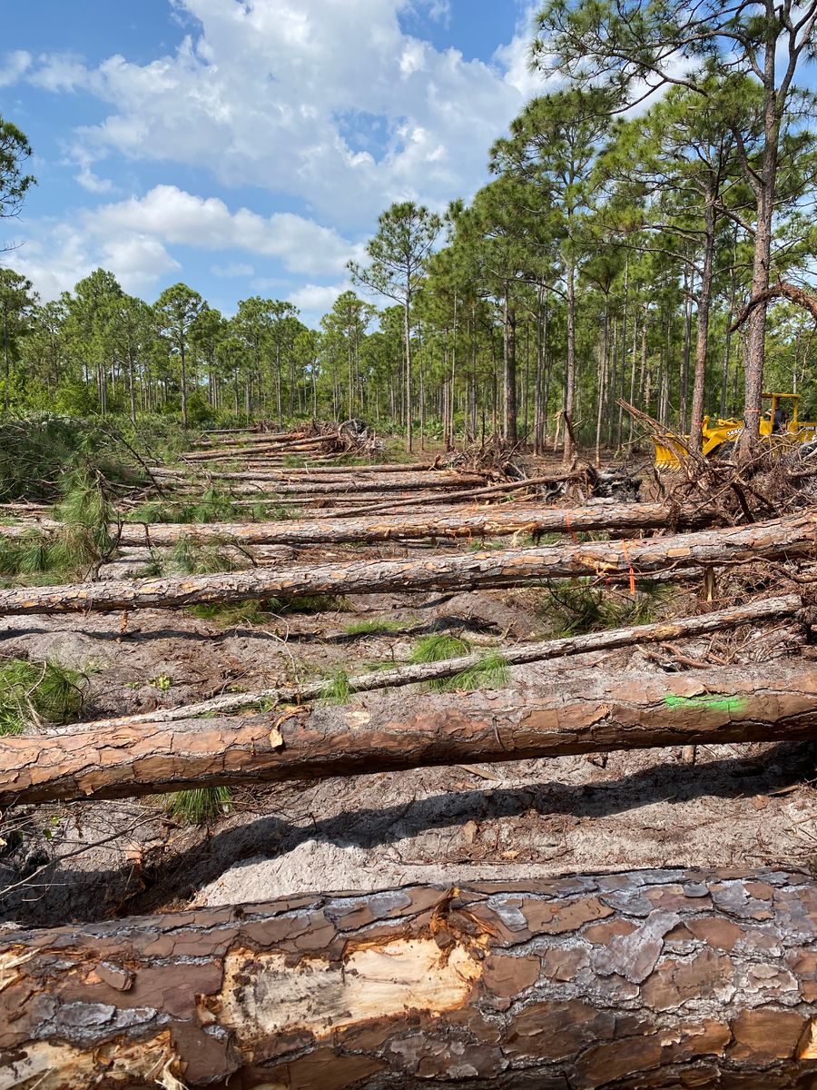 Land Clearing for South Florida Earthworks in Fort Pierce, FL
