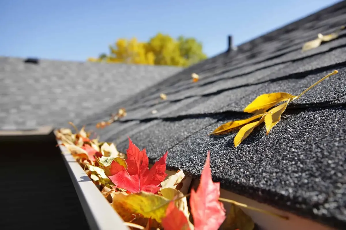 Gutter Cleaning for Buckeye Roof Rejuvenation in Columbus, Ohio