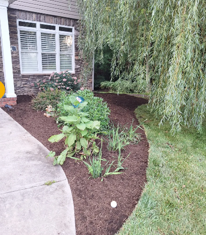 Residential Lawn Care for Olmedo Home Services in Davie County, NC