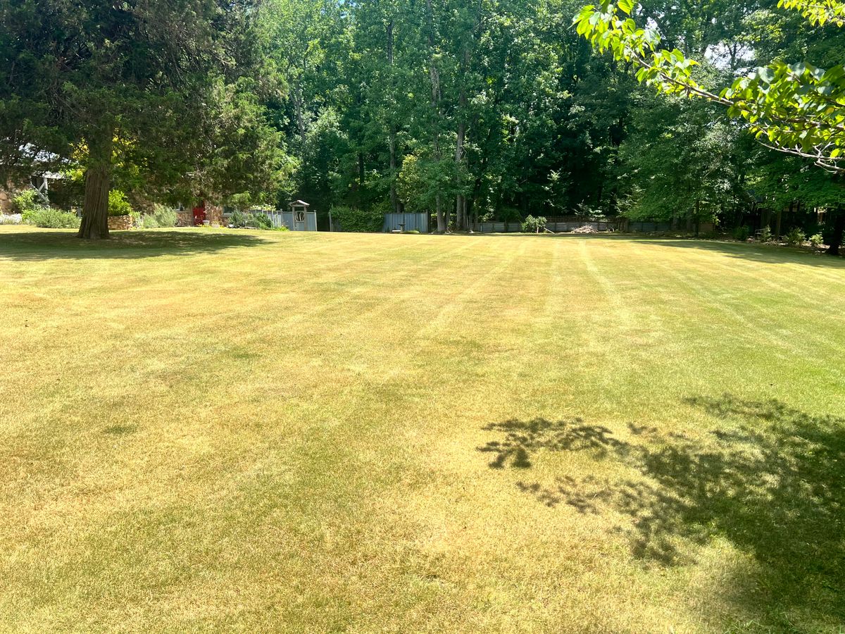 Fall Clean Up for JC Lawn Care and Landscaping in Athens, GA