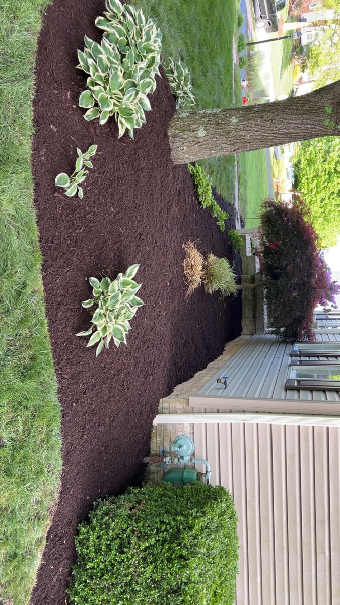 Spring & Fall Clean Up for Cam Yardz in Washington, PA