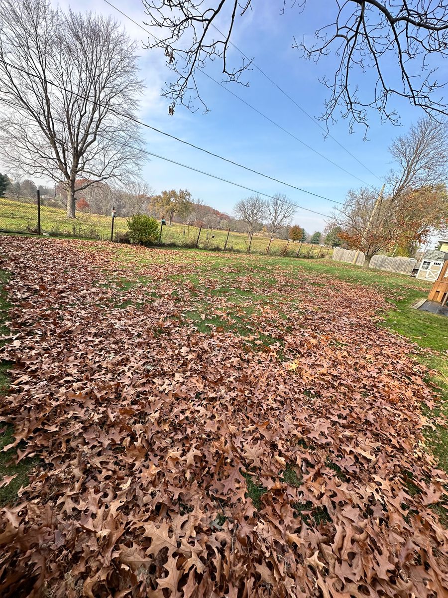 Fall Clean Up for Sargent's Lawn and Property Maintenance LLC in Lambertville, MI