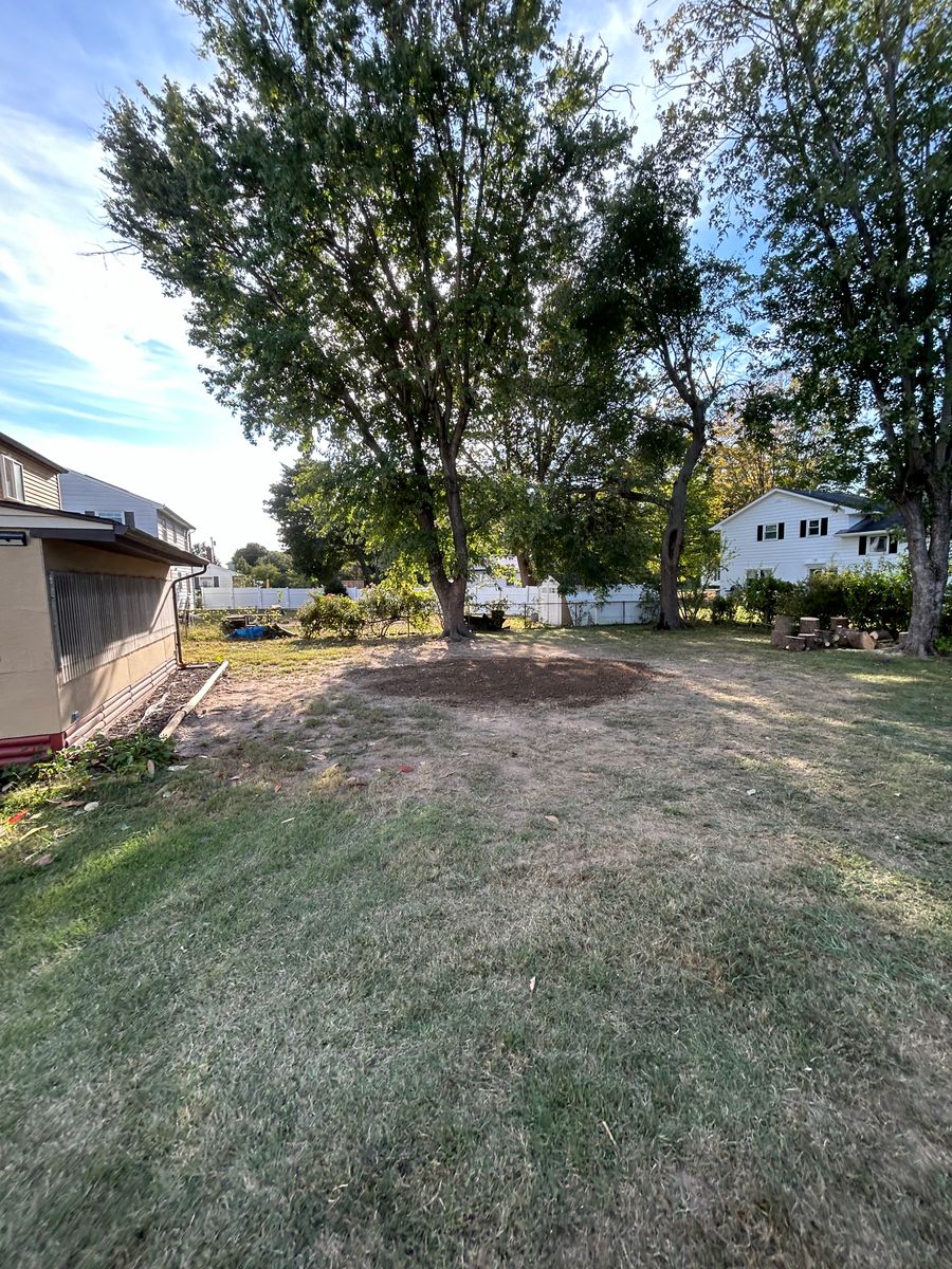 Tree Trimming for Hingewood Tree Service in Salem, NJ