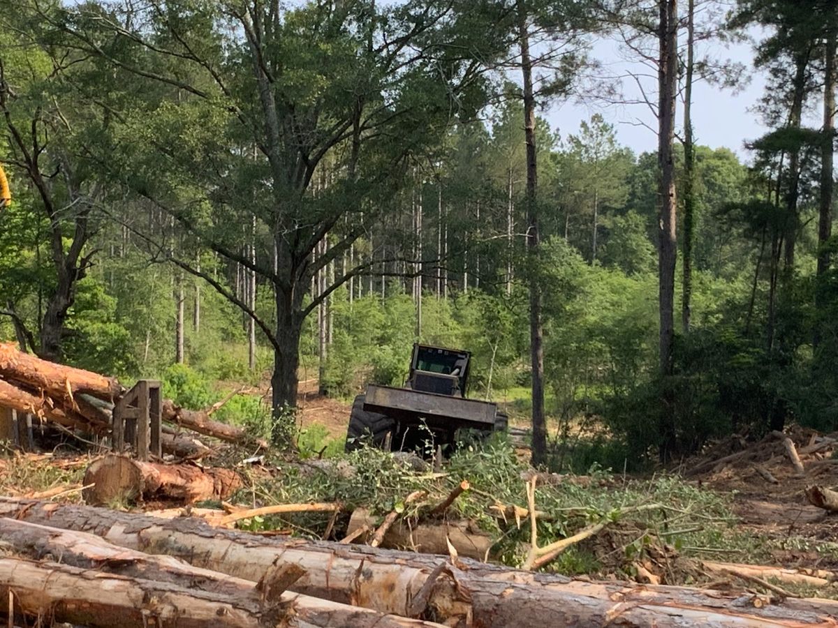 Tree Services for Broadway & McMullen Construction in Hattiesburg, MS
