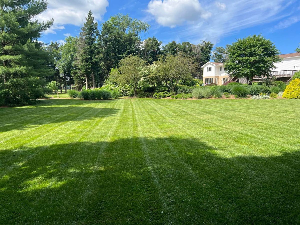 Spring / Fall Clean Up for Ridgewood Lawn Care LLC in Fredericksburg, VA