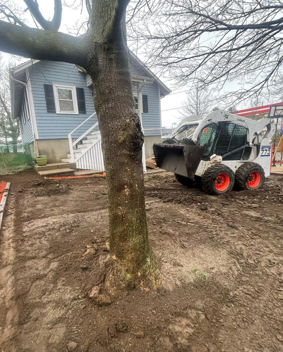 Tree Removal for Zammito Landscape Construction in Dorchester, MA