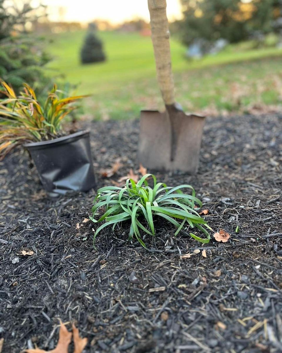 Landscaping Services for Conoy Acres Lawn Service in Elizabethtown, PA