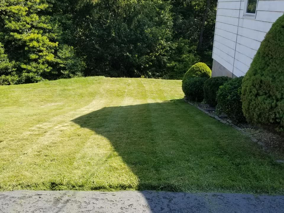 Shrub Trimming for All Blades Lawn Service in Pittsburgh, PA