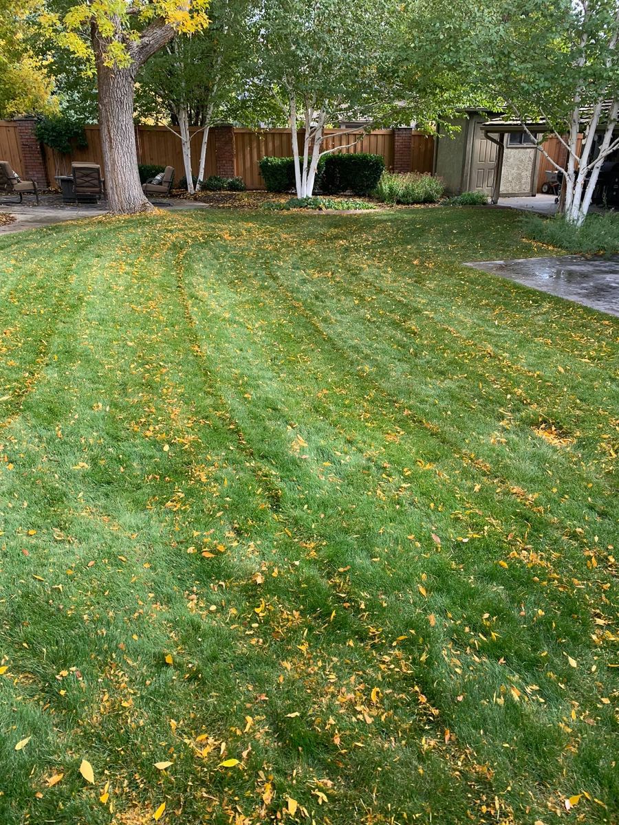 Fall Clean Up for Platinum Lawn Service in Santaquin, UT