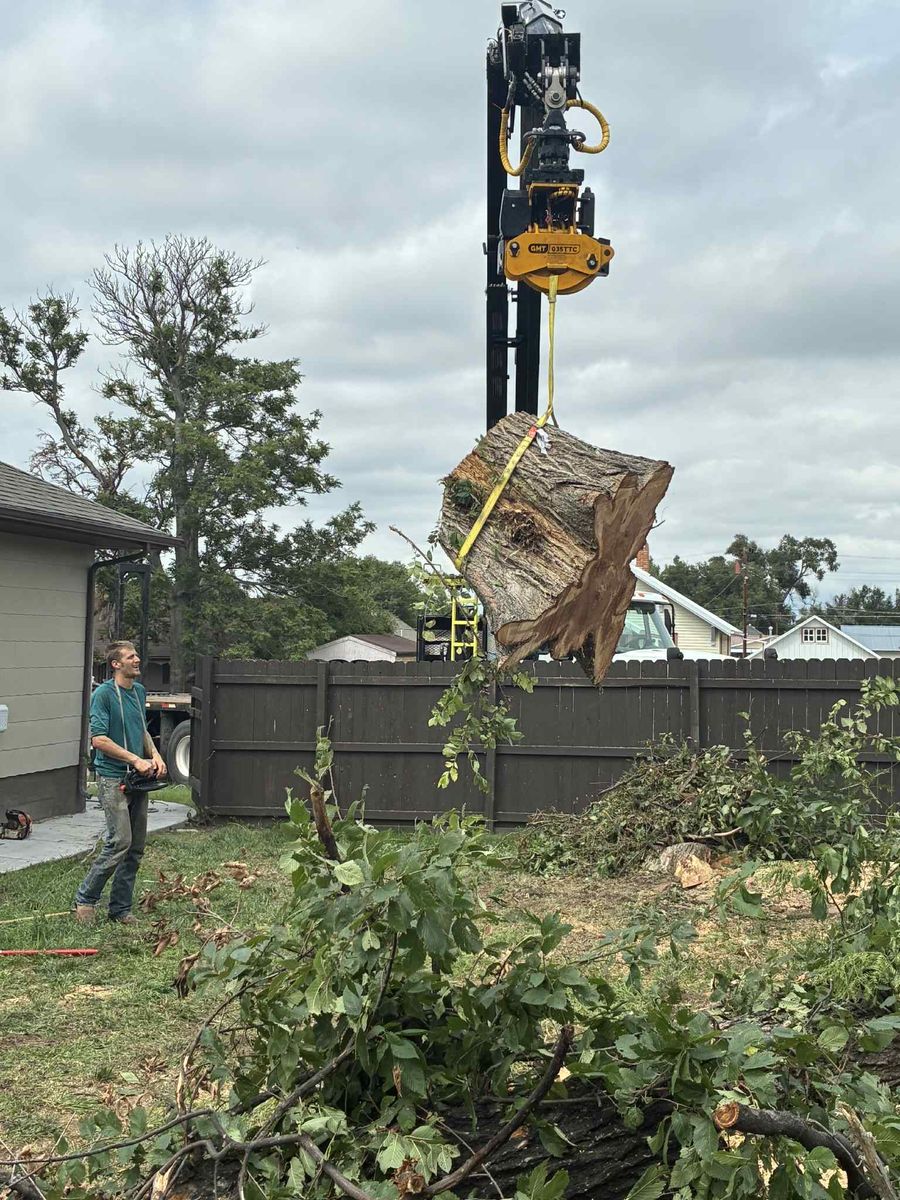 Tree Removal for SMH Tree Service in Atwood, KS