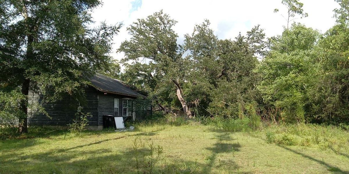 Tree and Shrub Care for Landrum’s Lawn & Tractor Services in Blountstown, FL